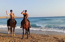 3-Hour Swim with Horses Experience in Hurghada