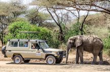 3Days luxury safari to Tarangire Ngorongoro crater and Manyara