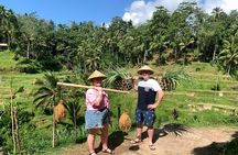 Full Day – Ubud Art Village and Mount Batur Kintamani with Lunch