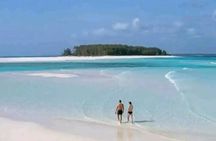 Snorkling Mnemba Island