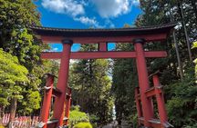 Mt Fuji Private Tour with English Speaking Driver