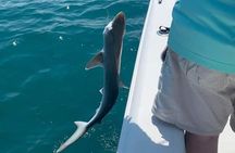 Private 4 hr Fishing Tour with Master Captain Bill Phillips