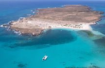 Catamaran Sailing Tour or Whale Watching at Boa Vista