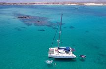 Catamaran Sailing Tour or Whale Watching at Boa Vista