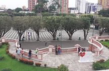 Private Historic City-tour through the centre OF Manaus