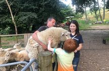 Wool Sheep Farm Experience with Handmade Wool Hat in New Zealand 