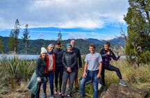 4-hour Lake Mapourika Kayak and Hike adventure, with Okarito Kiwi Sanctuary