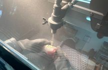 Handmade Japanese Glass Art Sandblasting Workshop in Tokyo