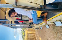 Predator Encounter: Half-Day Carnivore Feeding Windhoek 
