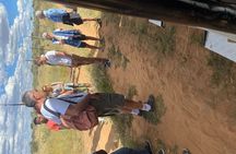 Predator Encounter: Half-Day Carnivore Feeding Windhoek 