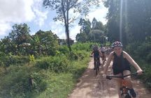 Silk Island Cycling Adventure & lunch with locals