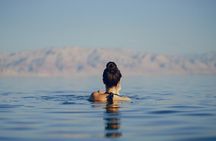 4 Day Private Tour in Amman Jordan