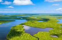 Everglades Immersion Tour: The Ultimate Everglades Adventure