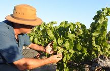 Swan Valley Wine Discovery: Private Tour from Perth