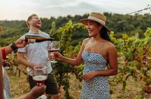 Swan Valley Wine Discovery: Private Tour from Perth