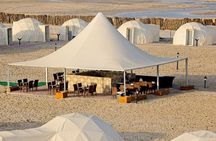 Full-Day DesertSafari with Camel Ride,InlandSea & BBQ Desert Camp