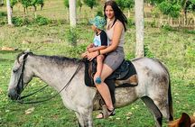 Half-day City tour cultural from punta cana for small group