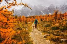 Moraine Lake: Larch Valley Hike, Departure from Banff