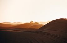 2 Days Desert Private Luxury Couple's Retreat Camel Trek + Quad