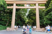 Harajuku Sweet & Culture Exploration: Dive into Kawaii Wonders!