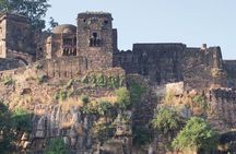 03 Days Private Ranthambore Wildlife Safari Tour From Delhi