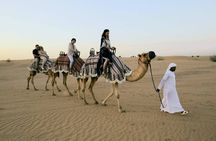 Dubai: Experience Amazing Desert Safari