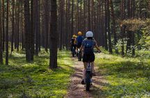 Guided Ebike Tour on Forest Roads and Trails Near Riga
