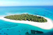 Snorkling Mnemba Island