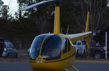 Helicopter Tour over The Wonders of Mendoza