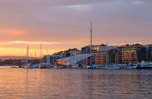 Oslofjord Sightseeing