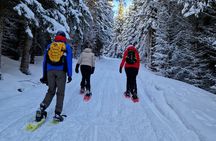 Arctic Snowshoe Hike in Norway