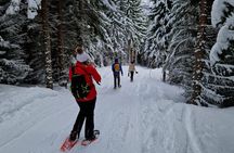 Arctic Snowshoe Hike in Norway