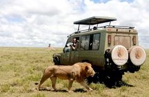 4 Days Tarangire, Serengeti & Ngorongoro Crater Joining Group