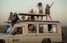 4 Days Tarangire, Serengeti & Ngorongoro Crater Joining Group