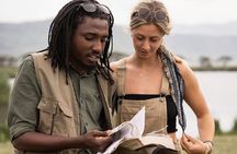 4 Days Tarangire, Serengeti & Ngorongoro Crater Joining Group
