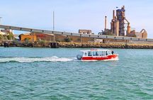 2-Hour Dolphin and Maritime Cruise in Port Adelaide