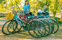Can Tho: Cycling in Village-Fruit Garden-Experience Local Ferry