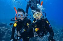 Great Barrier Reef with Cultural Guides-Dreamtime Dive & Snorkel