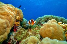 Great Barrier Reef with Cultural Guides-Dreamtime Dive & Snorkel