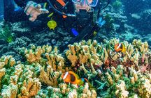 Great Barrier Reef with Cultural Guides-Dreamtime Dive & Snorkel