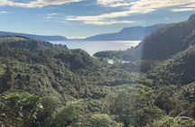 Rotorua Cultural Small Group Afternoon Tour