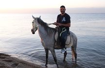 Horse back Riding in Antalya