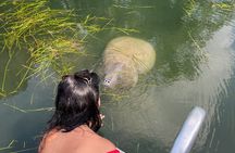Crystal River: Private Manatee Boat Tour