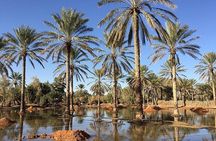 Ksar Ghilaine and Chneni Tataouine 1 day tour in Tunisia