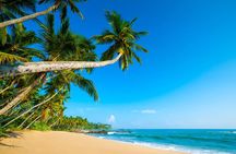 Private Tour On São Tomé Island
