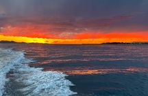 From Zadar: Island-Hopping Speedboat Tour with Drinks