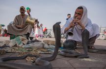 Marrakech day tour Immersion in Craft and Culture in VIP Van 