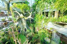 The Green Planet Dubai with Options