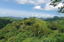 Full-Day Wild Trekk in Panama, Eco Adventure & Culinary Delights
