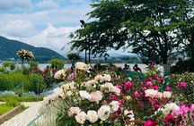 Mt Fuji Private Tour with English Speaking Driver